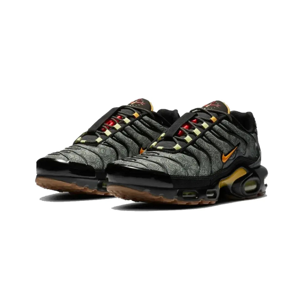 Nike TN (Fresh Perspective)