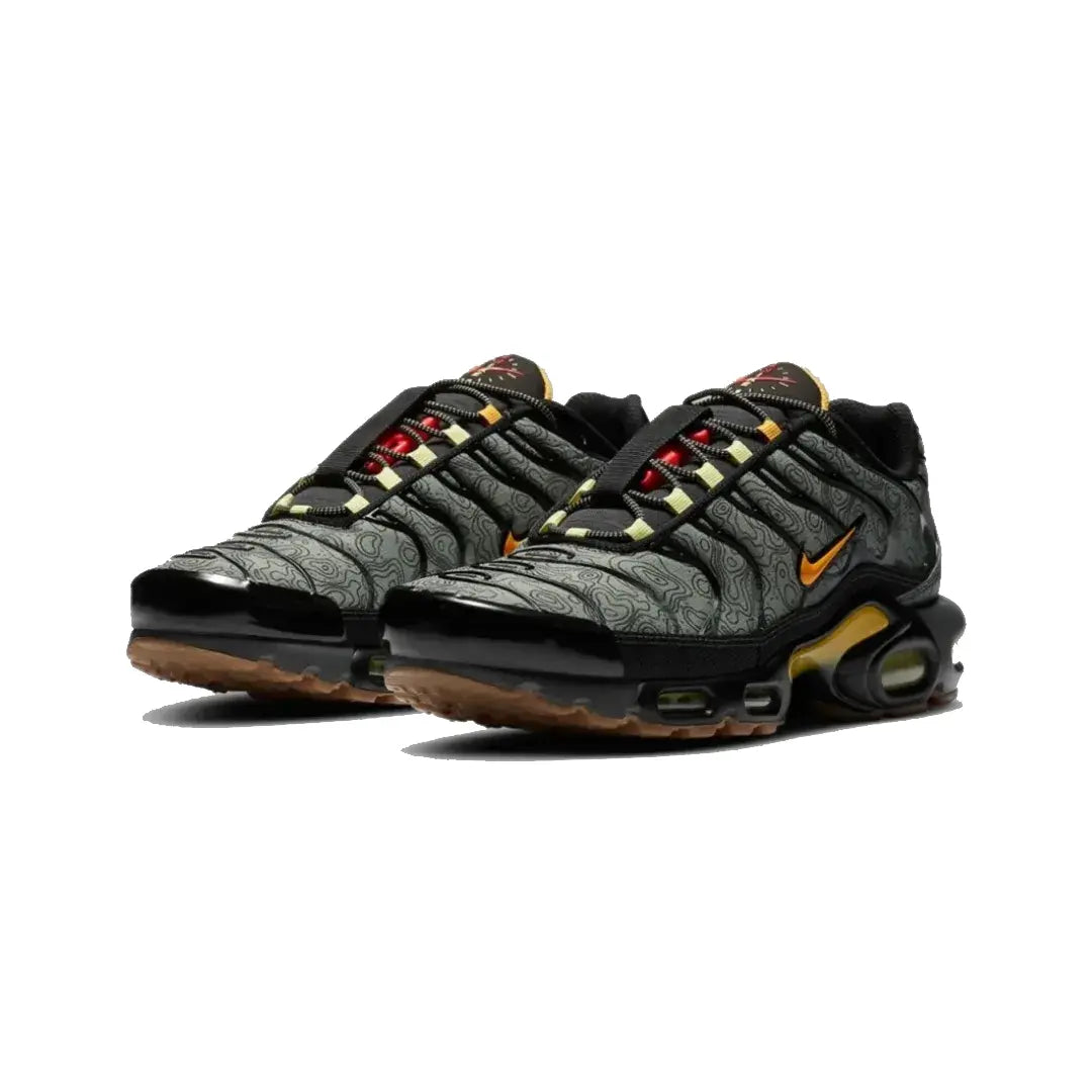 Nike TN (Fresh Perspective)