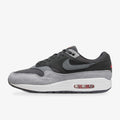 Nike Air Max 1 '87 Premium "Dark Smoke Grey"
