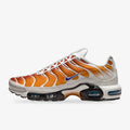 Nike Air Max TN (One Block Down Chutney)