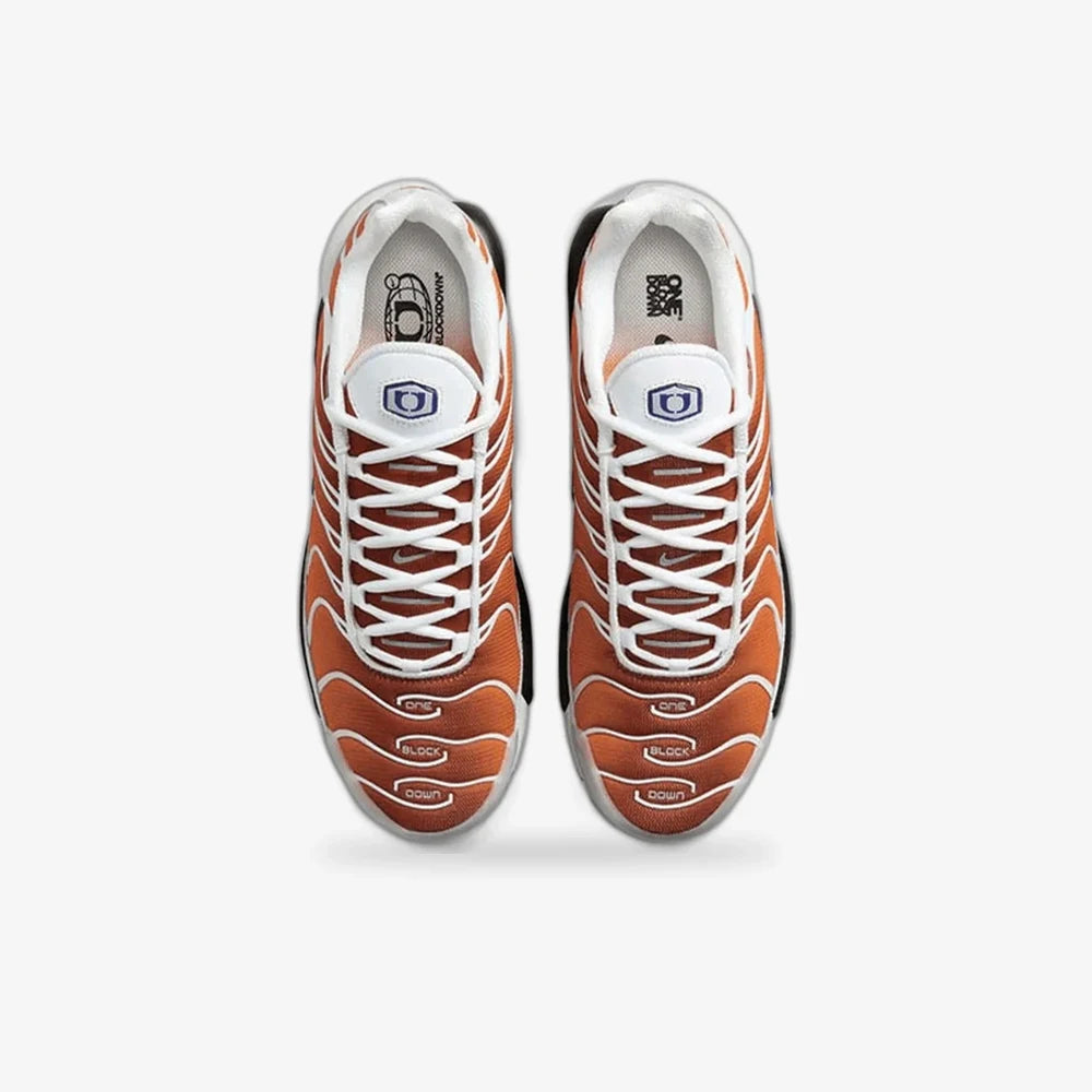 Nike Air Max TN (One Block Down Chutney)